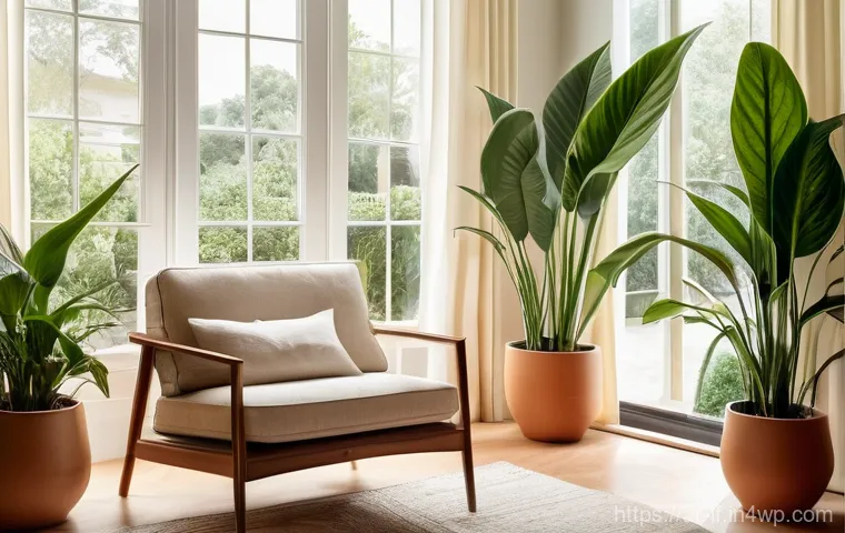 자연을 담은 색상과 공간 디자인 - **A Serene Arabic-Inspired Living Space with Earthy Tones and Natural Materials.**
    A spacious an...